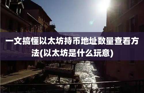 一文搞懂以太坊持币地址数量查看方法(以太坊是什么玩意)