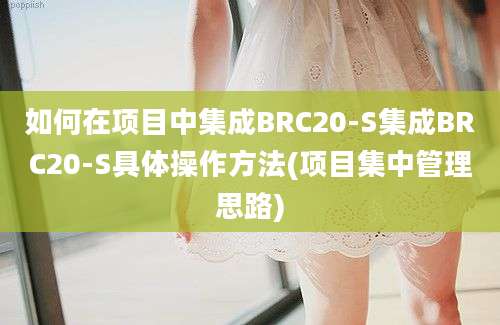 如何在项目中集成BRC20-S集成BRC20-S具体操作方法(项目集中管理思路)