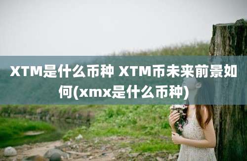 XTM是什么币种 XTM币未来前景如何(xmx是什么币种)