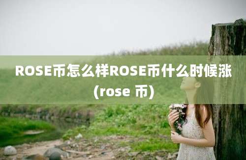 ROSE币怎么样ROSE币什么时候涨(rose 币)