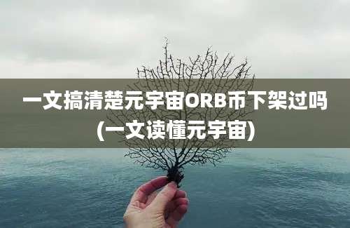 一文搞清楚元宇宙ORB币下架过吗(一文读懂元宇宙)