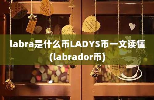 labra是什么币LADYS币一文读懂(labrador币)