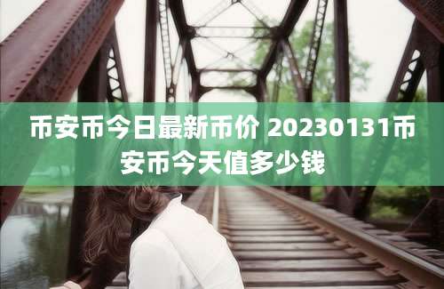 币安币今日最新币价 20230131币安币今天值多少钱