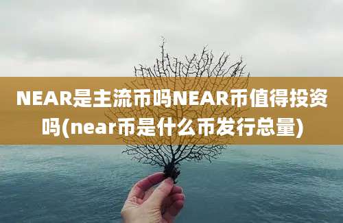 NEAR是主流币吗NEAR币值得投资吗(near币是什么币发行总量)