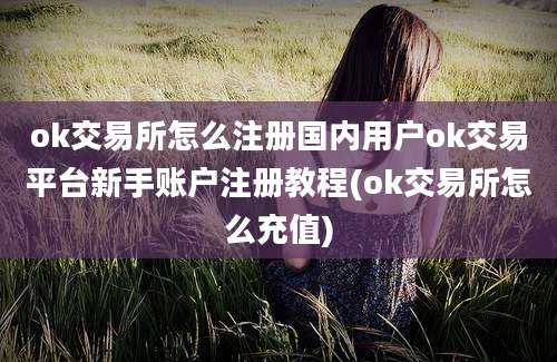 ok交易所怎么注册国内用户ok交易平台新手账户注册教程(ok交易所怎么充值)