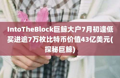 IntoTheBlock巨鲸大户7月初逢低买进逾7万枚比特币价值43亿美元(探秘巨鲸)