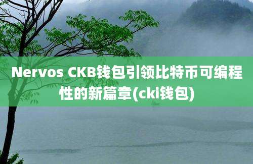 Nervos CKB钱包引领比特币可编程性的新篇章(cki钱包)