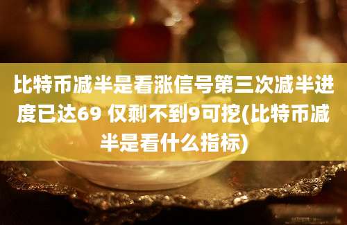 比特币减半是看涨信号第三次减半进度已达69 仅剩不到9可挖(比特币减半是看什么指标)