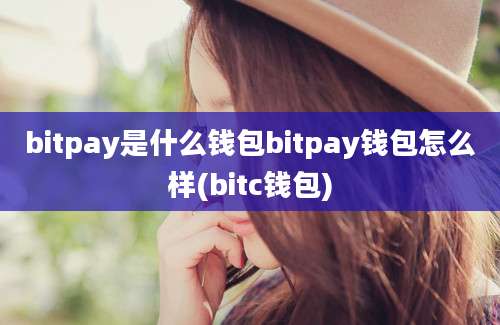 bitpay是什么钱包bitpay钱包怎么样(bitc钱包)