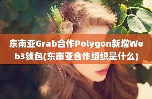 东南亚Grab合作Polygon新增Web3钱包(东南亚合作组织是什么)