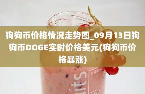 狗狗币价格情况走势图_09月13日狗狗币DOGE实时价格美元(狗狗币价格暴涨)