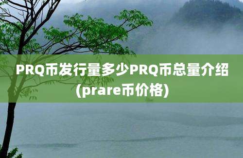 PRQ币发行量多少PRQ币总量介绍(prare币价格)