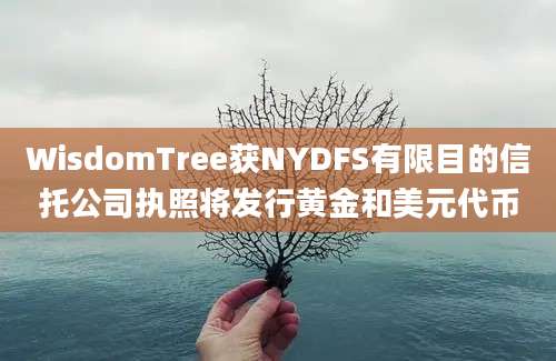 WisdomTree获NYDFS有限目的信托公司执照将发行黄金和美元代币