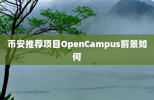 币安推荐项目OpenCampus前景如何