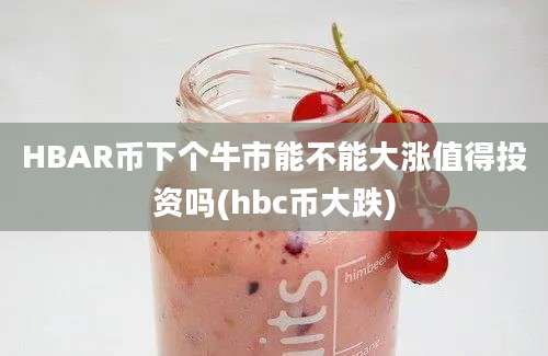 HBAR币下个牛市能不能大涨值得投资吗(hbc币大跌)