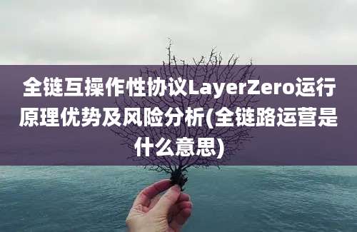 全链互操作性协议LayerZero运行原理优势及风险分析(全链路运营是什么意思)