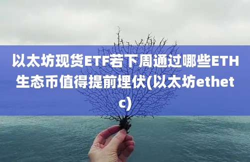 以太坊现货ETF若下周通过哪些ETH生态币值得提前埋伏(以太坊ethetc)