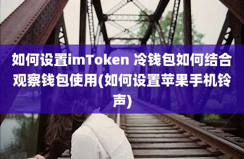 如何设置imToken 冷钱包如何结合观察钱包使用(如何设置苹果手机铃声)