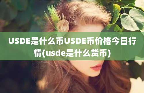 USDE是什么币USDE币价格今日行情(usde是什么货币)