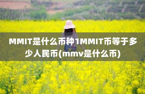 MMIT是什么币种1MMIT币等于多少人民币(mmv是什么币)