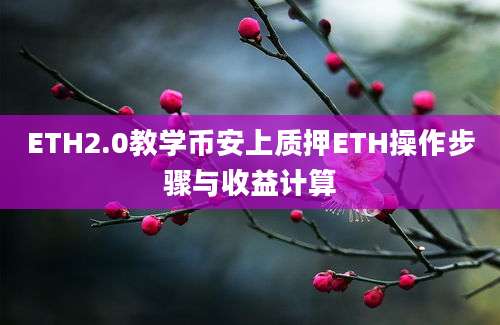 ETH2.0教学币安上质押ETH操作步骤与收益计算