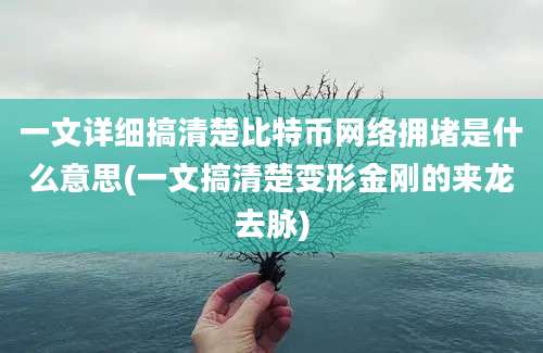 一文详细搞清楚比特币网络拥堵是什么意思(一文搞清楚变形金刚的来龙去脉)