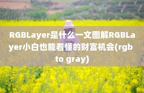 RGBLayer是什么一文图解RGBLayer小白也能看懂的财富机会(rgb to gray)