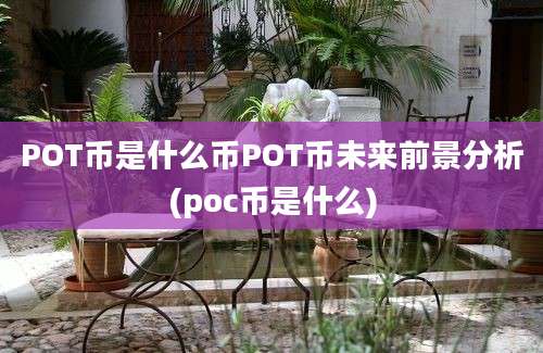 POT币是什么币POT币未来前景分析(poc币是什么)