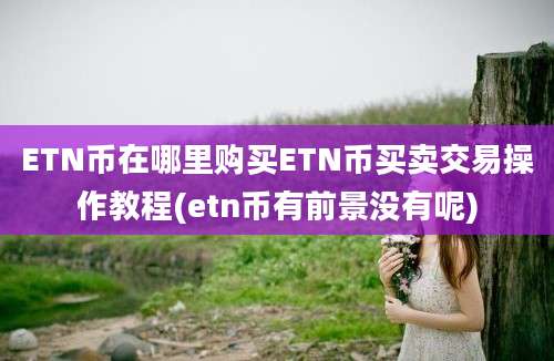 ETN币在哪里购买ETN币买卖交易操作教程(etn币有前景没有呢)