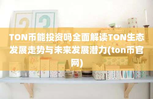 TON币能投资吗全面解读TON生态发展走势与未来发展潜力(ton币官网)