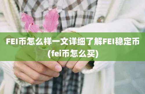 FEI币怎么样一文详细了解FEI稳定币(fei币怎么买)