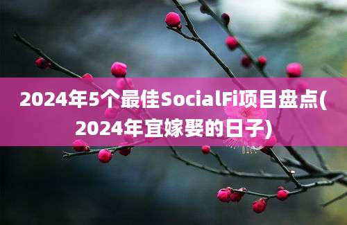 2024年5个最佳SocialFi项目盘点(2024年宜嫁娶的日子)