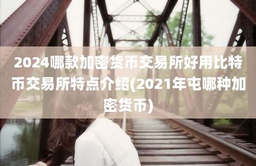 2024哪款加密货币交易所好用比特币交易所特点介绍(2021年屯哪种加密货币)