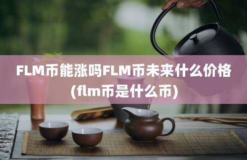 FLM币能涨吗FLM币未来什么价格(flm币是什么币)