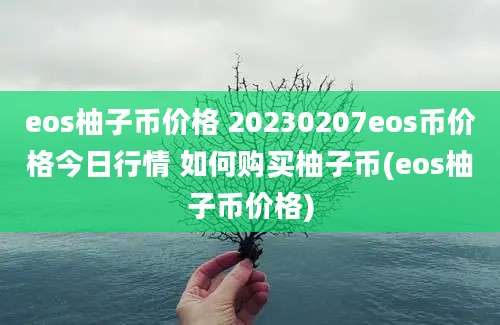 eos柚子币价格 20230207eos币价格今日行情 如何购买柚子币(eos柚子币价格)