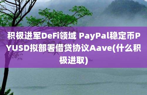 积极进军DeFi领域 PayPal稳定币PYUSD拟部署借贷协议Aave(什么积极进取)