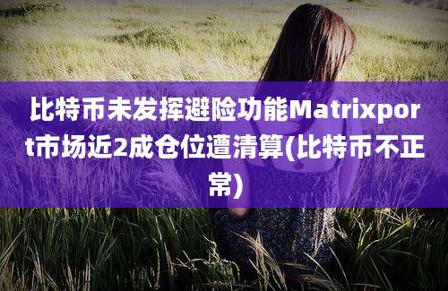 比特币未发挥避险功能Matrixport市场近2成仓位遭清算(比特币不正常)