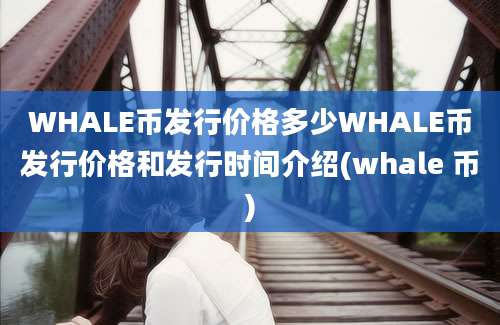 WHALE币发行价格多少WHALE币发行价格和发行时间介绍(whale 币)