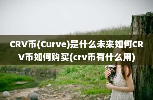 CRV币(Curve)是什么未来如何CRV币如何购买(crv币有什么用)