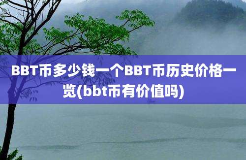 BBT币多少钱一个BBT币历史价格一览(bbt币有价值吗)