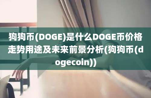 狗狗币(DOGE)是什么DOGE币价格走势用途及未来前景分析(狗狗币(dogecoin))