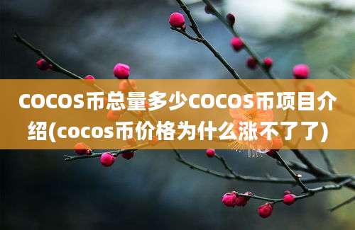 COCOS币总量多少COCOS币项目介绍(cocos币价格为什么涨不了了)