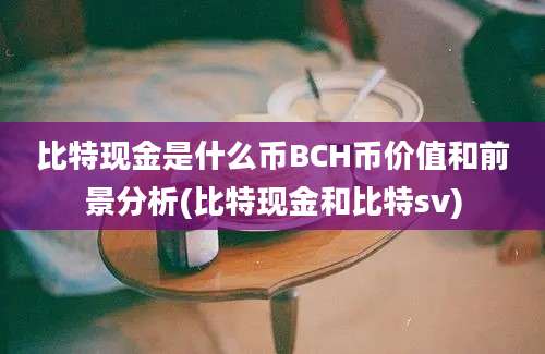 比特现金是什么币BCH币价值和前景分析(比特现金和比特sv)