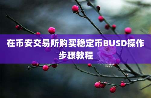 在币安交易所购买稳定币BUSD操作步骤教程