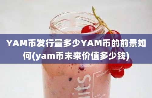 YAM币发行量多少YAM币的前景如何(yam币未来价值多少钱)