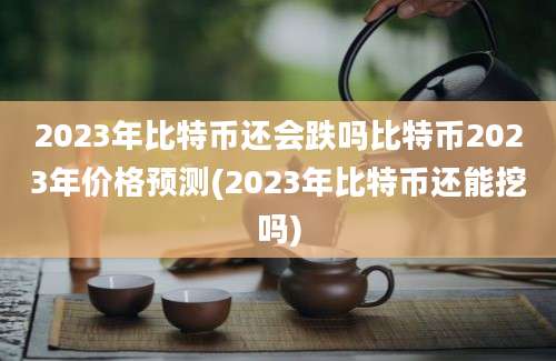 2023年比特币还会跌吗比特币2023年价格预测(2023年比特币还能挖吗)