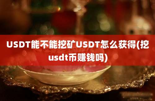 USDT能不能挖矿USDT怎么获得(挖usdt币赚钱吗)