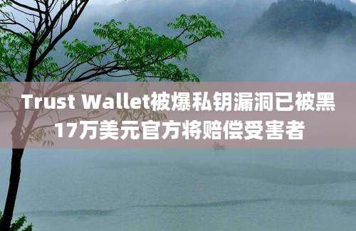 Trust Wallet被爆私钥漏洞已被黑17万美元官方将赔偿受害者