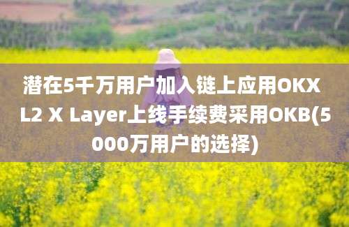 潜在5千万用户加入链上应用OKX L2 X Layer上线手续费采用OKB(5000万用户的选择)