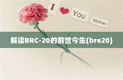 解读BRC-20的前世今生(bre20)